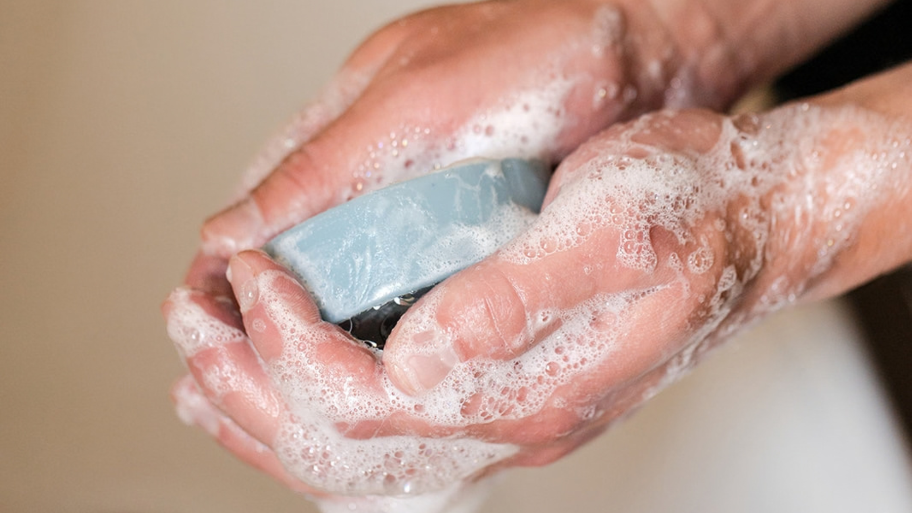 Hands building a creamy lather with a Wild Prairie natural bar soap