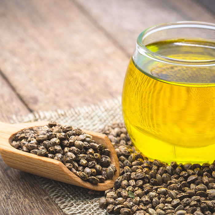 Cannabis Sativa Seed Oil: What You Should Know