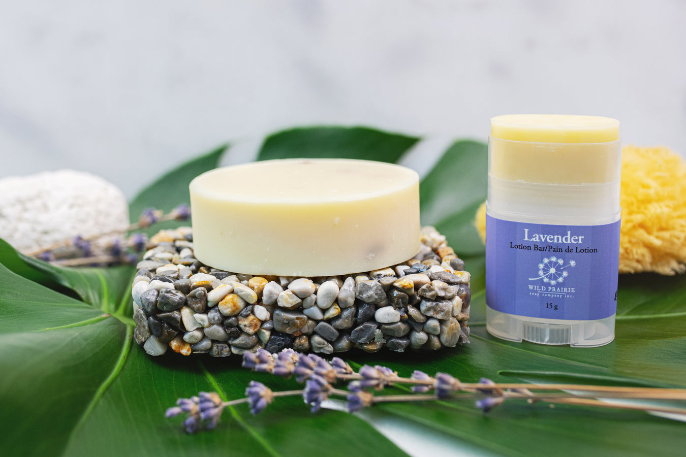 Summer Scents