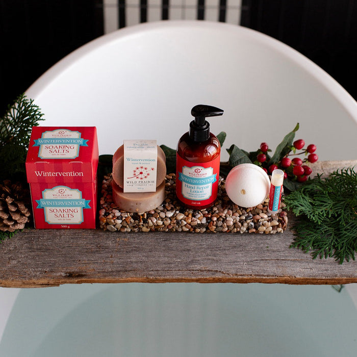 Wintervention Survival Kit