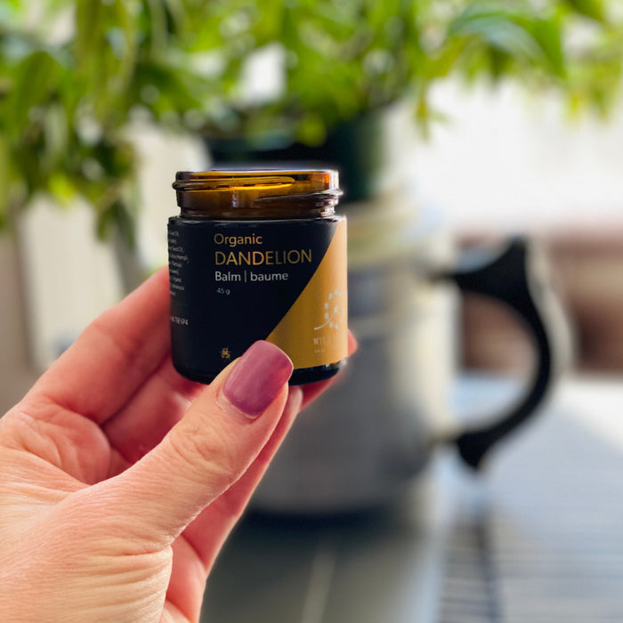 Organic Dandelion Balm