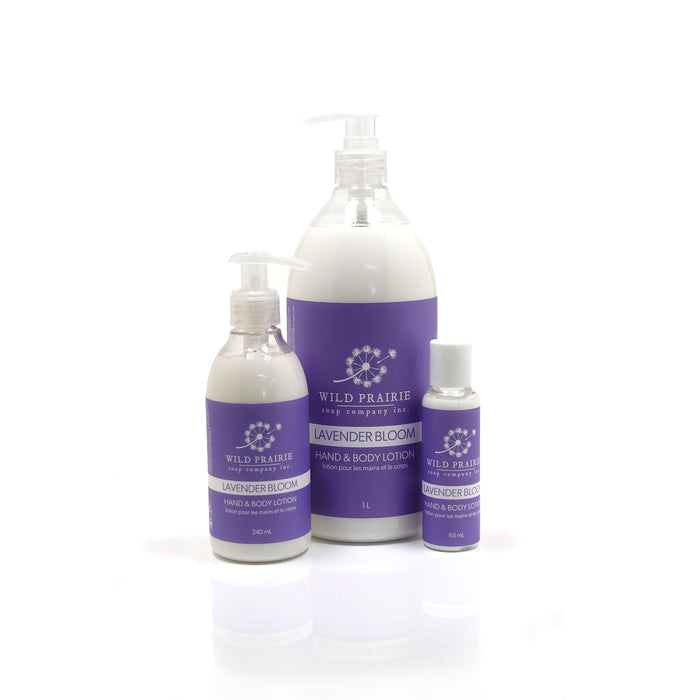 Lavender Hand & Body Lotion