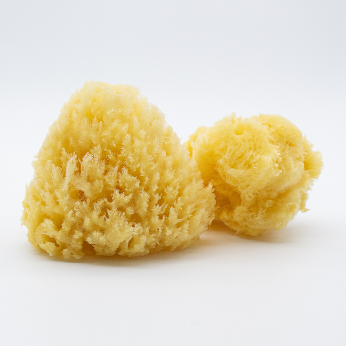 Natural Sea Sponge -Small