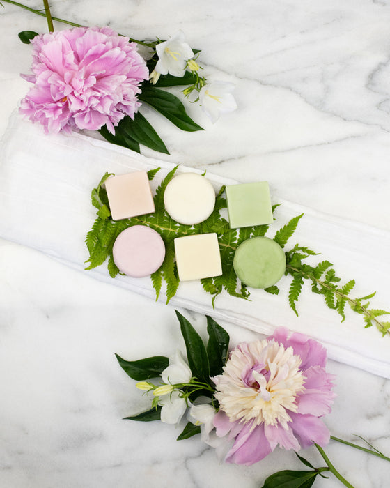 Shampoo & Conditioner Bars Bulk Program
