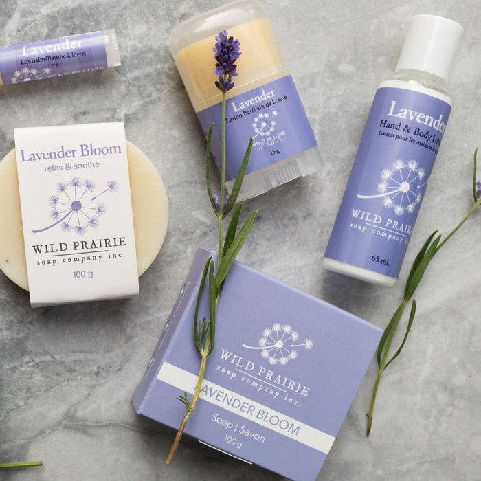 Lavender Bloom Hand & Body Lotion
