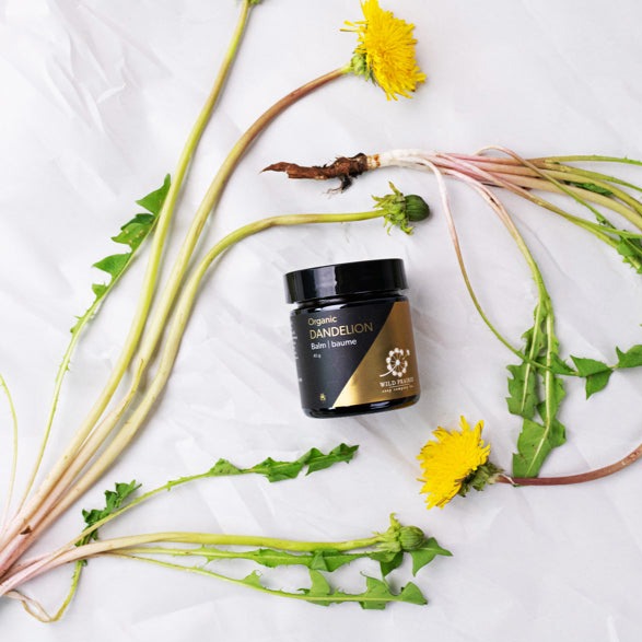 Organic Dandelion Balm