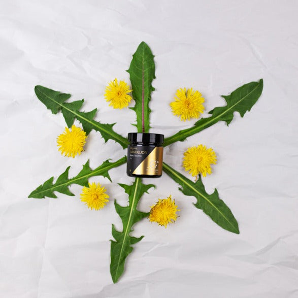 Organic Dandelion Balm